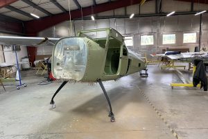 imageedit_17_4024171775